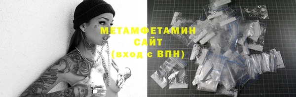 индика Весьегонск