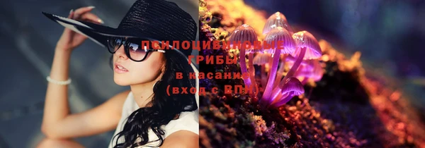 эйфоретик Медногорск