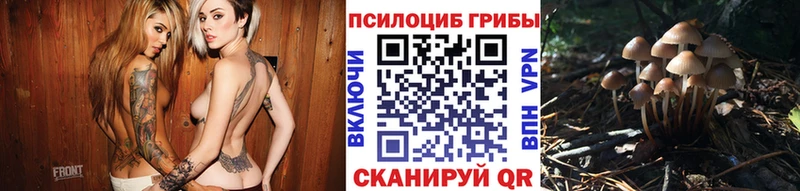 Псилоцибиновые грибы Psilocybe  наркота  Любим 