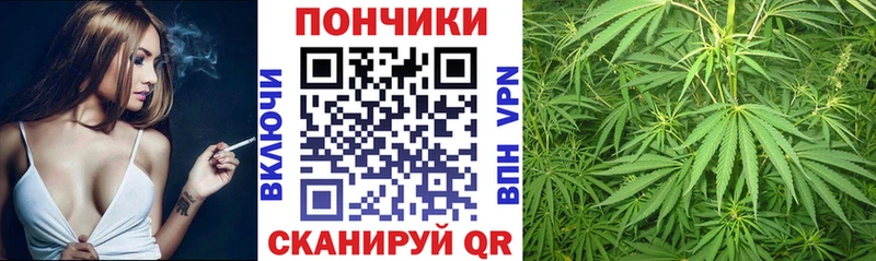 Бошки марихуана план  ссылка на мегу сайт  Любим 