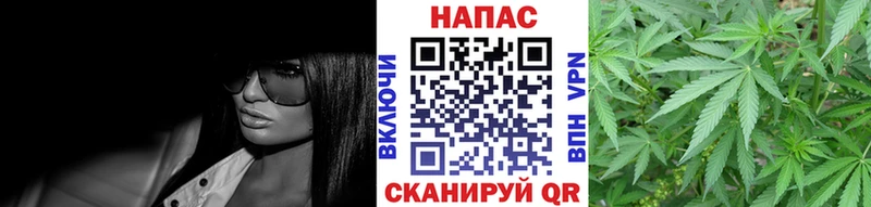 Бошки Шишки индика Любим